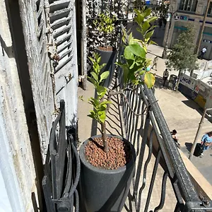 Historique Vieux Port Appartement